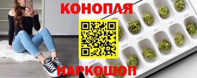apvp Нягань