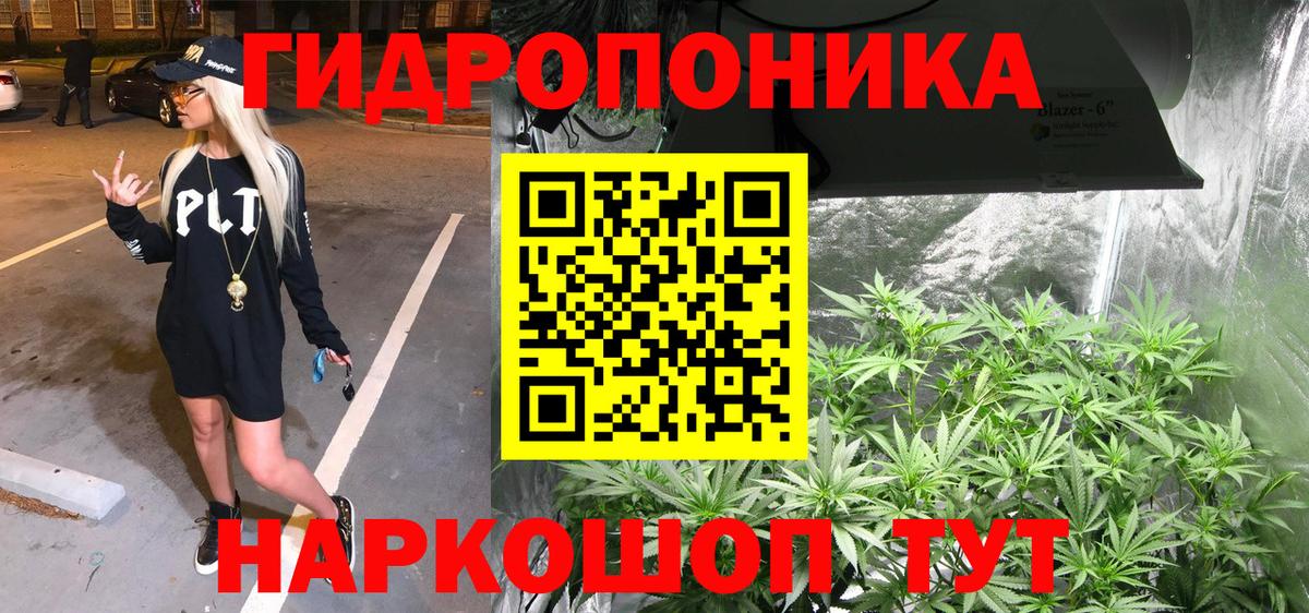 МАРИХУАНА конопля  Бошки марихуана AK-47  Шишки марихуана тримм  Сосновоборск  Вход с VPN  Каннабис VHQ 